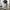 Y2K Sweatpants & Joggers Pria gray photo 1