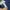 Polo by Ralph Lauren Cotton Heavy Navy Jacket photo 9