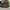 Adidas Entrap Mid  photo 5