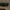 Number (N)ine Full Black Leather Belt photo 4