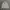 have a good time Streetwear Hoody Pria gray photo 1