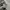 have a good time Streetwear Hoody Pria gray photo 5