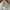 Uniqlo Streetwear Casual Casual pants Pria khaki photo 4