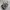 Puma Speedcat Balet Silver Shoes photo 1