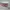 Rare Beauty Blush — Booked photo 1