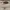 Burberry Avant Garde Polo shirt Pria tan photo 4