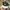 TOPI NEW ERA NY photo 2