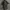 RARE Vintage 80s West Germany Moleskin short sleeve uniform photo 3