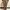 Straight leg trousers  photo 1