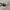 Oakley Vintage Casual Sunglass Pria multicolor black photo 3