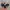 Oakley Vintage Casual Sunglass Pria multicolor black photo 1