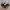 Oakley Vintage Casual Sunglass Pria Multicolor Black