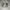 New Balance Casual Casual shoe Pria gray photo 1