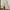 Nike NSW Streetwear Casual Sweatshirt Pria cream photo 5