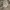 Nike NSW Streetwear Casual Sweatshirt Pria cream photo 6