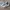 Adidas Indie Casual Sneakers Wanita white green photo 1