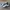 Adidas Indie Casual Sneakers Wanita white black photo 1