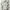 Manchester United Away Shirt/Jersey 2015 - 2016 ORIGINAL  photo 1