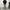 ZARA Streetwear Y2K Casual pants Pria white black photo 6