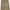 EARLSL Cargo Pants Beige photo 5