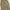 EARLSL Cargo Pants Beige photo 7