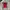 Polo Ralph Lauren Casual Polo shirt Pria red photo 1