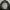 DogTown Streetwear Luxury Harrington jacket Pria black photo 4