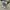 Zip Hoodie Converse Two Tone  photo 8