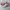 Puma Minimalist Casual Sneakers Wanita multicolor photo 1