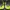 New Balance Streetwear Sportswear Sneakers Pria multicolor yellow photo 5