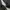Celana Cargo Military Ripstop Multy Pocket photo 7