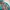 Eddie Bauer Vintage Casual Harrington jacket Pria green photo 6