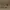Lancome Parfume Intense