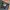 Levi’s 511 midrise slim fit denim jeans rugged style photo 4