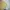 Champion Sportswear Casual Windbreaker Pria tan khaki photo 7