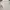 (No brand) Size M–L. Left Button Flower Boxy White Shirt photo 4
