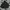 ZIPHOODIE CAGOULE HNM BIG SIZE photo 1