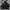 PULLOVER CHAMPION BIG LOGO photo 1