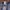 Carhartt Vintage Casual Track jacket Pria multicolor photo 7