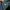 Burberry London England Novacheck Green Shirts Kemeja Luxury photo 6