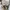 VANS Casual Sneakers Pria white black photo 7