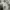 Polham chinos bermotif photo 2
