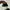 Vans Slip On Skateboard Fullblack