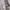 Sportswear Jersey Pria gray photo 4