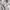 Sportswear Jersey Pria gray photo 3
