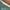 Uniqlo Streetwear Casual Casual pants Pria green photo 3