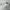 Puma Casual Sneakers Pria white gray photo 1