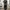 Uniqlo Y2K Sweatpants & Joggers Pria green photo 1