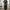 Uniqlo Y2K Sweatpants & Joggers Pria Green