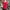 ꨄ︎ Minimalist Red Texture Blouse ꨄ︎